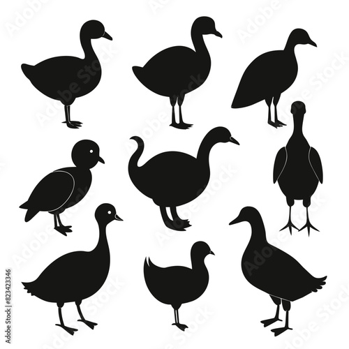 Set of coot animal Silhouette Vector on a white background