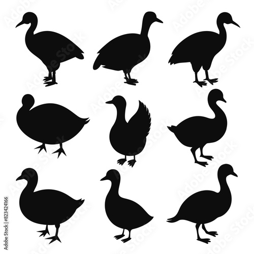 Set of coot animal Silhouette Vector on a white background