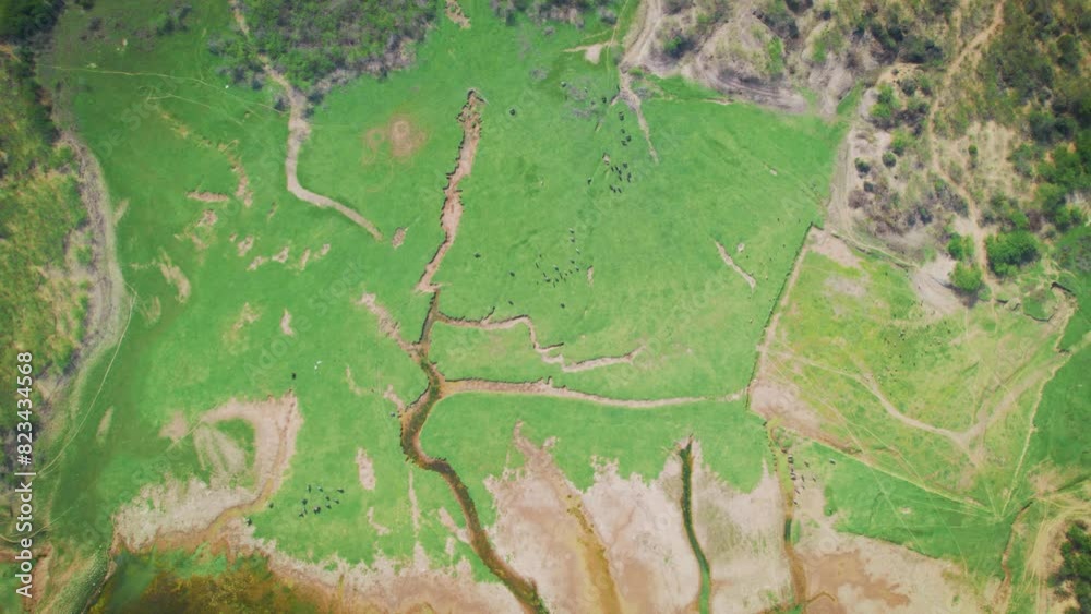 4K top down rotating shot of green meadow and dried river bed pattern at Kutch, Gujarat, India. Nature landscape. Aerial shot of dried river and green meadows surrounding it. 4K top down rotating shot of green meadow and dried river bed pattern at Kutch, Gujarat, India. Nature landscape. Aerial shot of dried river and green meadows surrounding it.