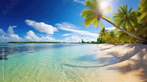 palm beach with sun © vectorwin