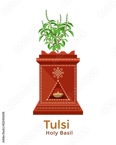 Illustration of Indian holy basil called tulsi