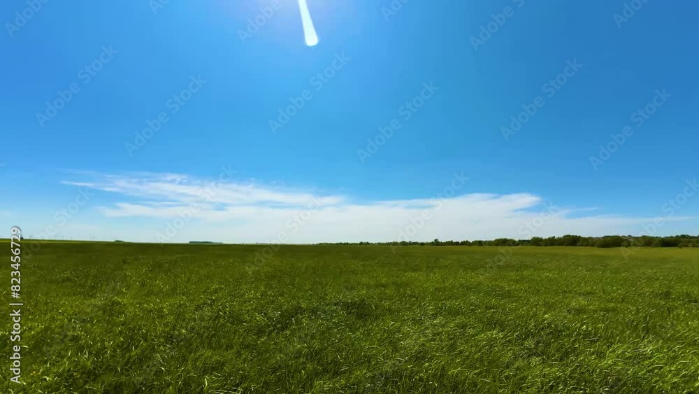 Time lapse meadow with green grass under blue sky on sunny day. White clouds moving fast on horizon. Ecology and ecosystem conservation