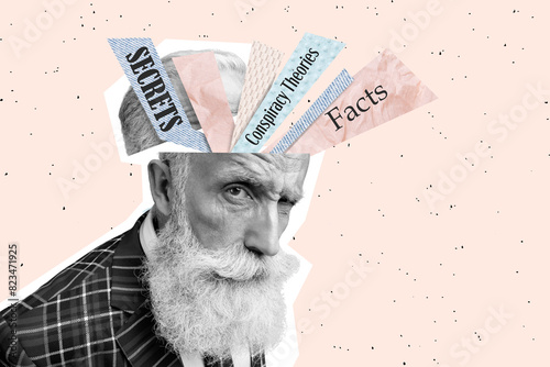 Quadro su tela Composite photo collage of old man cut head brain processes facts secret conspir