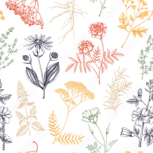 Apothecary plant background. Medicinal herbs seamless pattern. Herbal remedies, natural medicine, Healing plants sketches. Hand-drawn vector illustration.NOT AI genereted