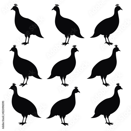 Set of guinea fowl birds animal Silhouette Vector on a white background