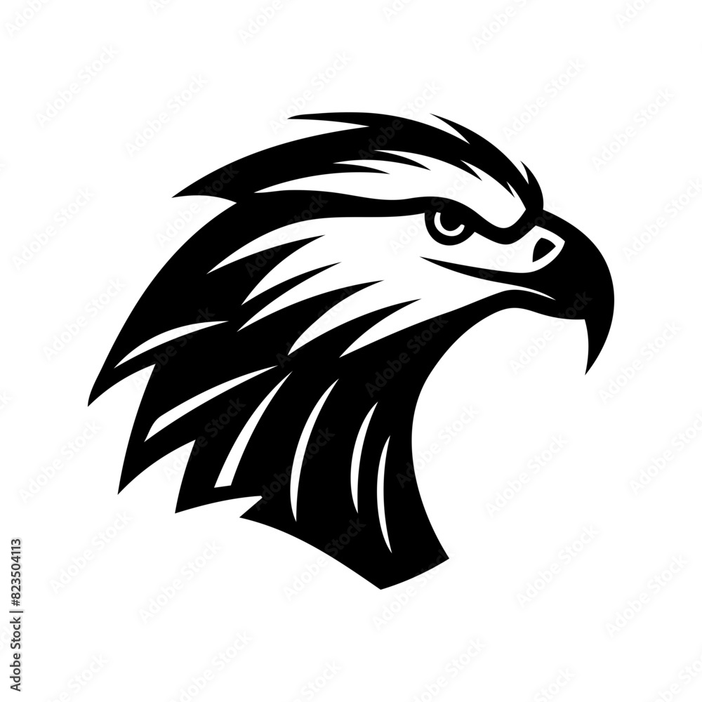 Fototapeta premium eagle head vector illustration