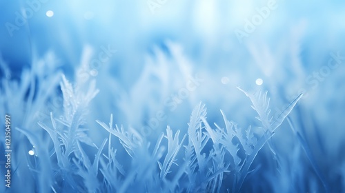 Abstract background of icy grass photo