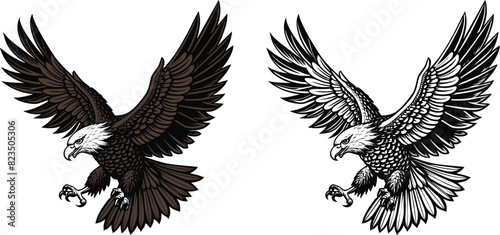 Flying Bald Eagle, American Eagle, Flying Eagle Logo