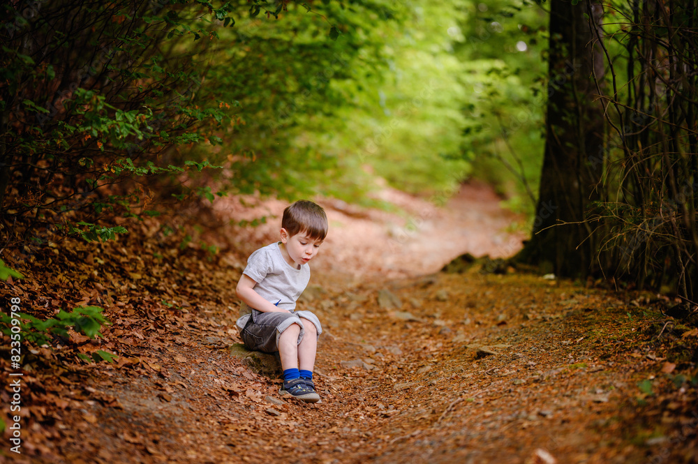 A young boy sits on a leaf-covered forest path, looking back towards the camera. Surrounded by lush green foliage, he appears curious and contemplative. A young boy sits on a leaf-covered forest path, looking back towards the camera. Surrounded by lush green foliage, he appears curious and contemplative.