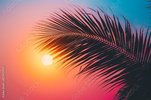 Palm tree silhouette against sunset  tropical vibes  warm colors