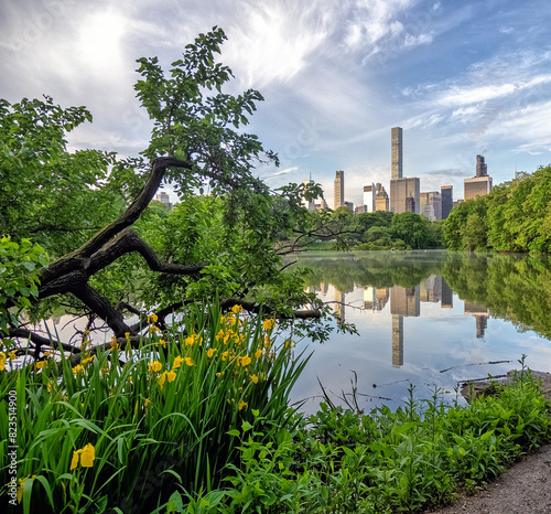 Photography Central Park, New York City at the lake