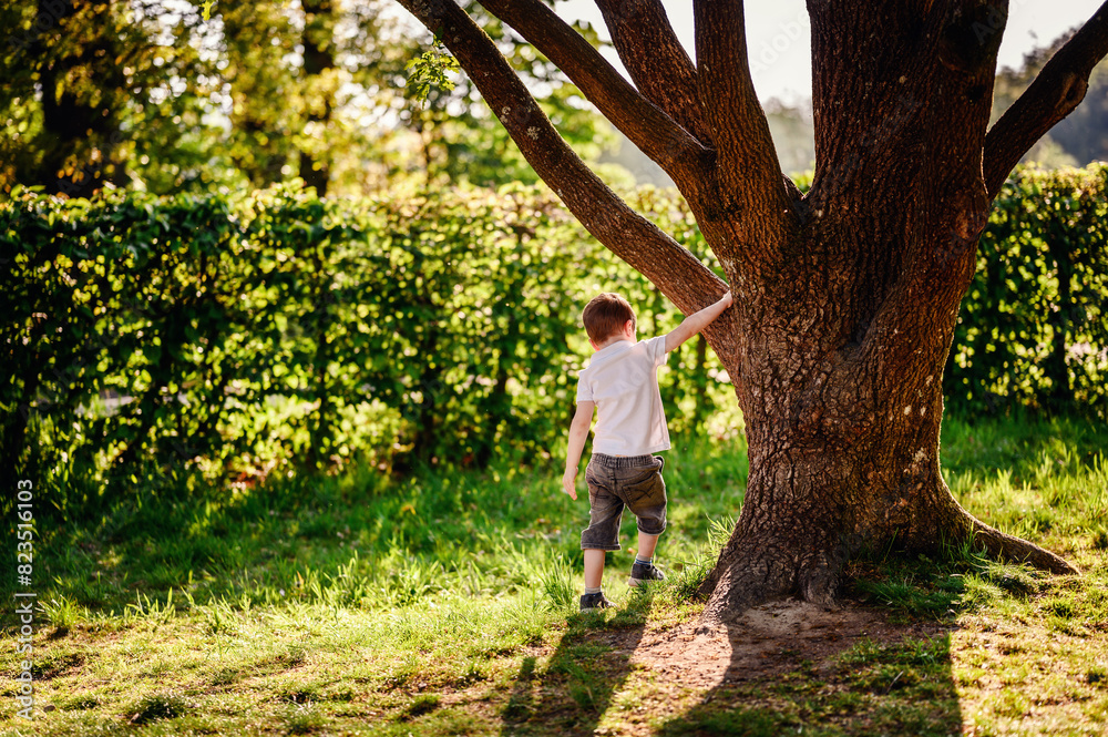 A young boy in a white shirt and denim shorts explores nature in a park, touching a tree trunk while surrounded by lush greenery and sunlight. A young boy in a white shirt and denim shorts explores nature in a park, touching a tree trunk while surrounded by lush greenery and sunlight.