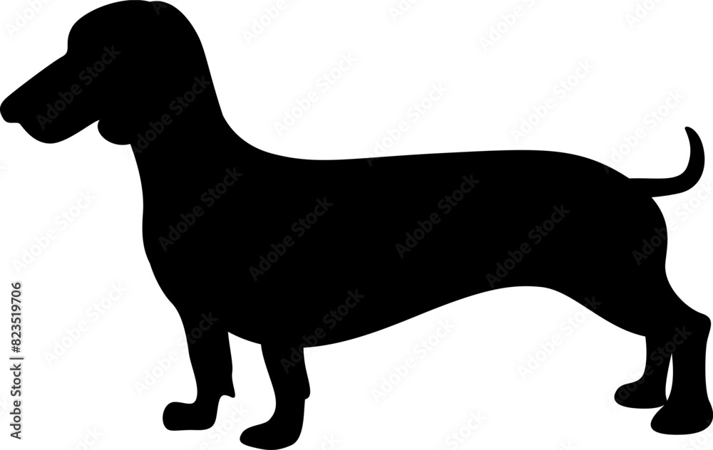 Dachshund dog silhouette. Vector illustration