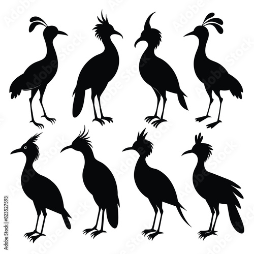 Set of hoatzin birds animal Silhouette Vector on a white background photo