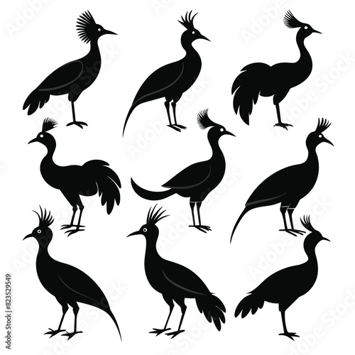Set of hoatzin birds animal Silhouette Vector on a white background