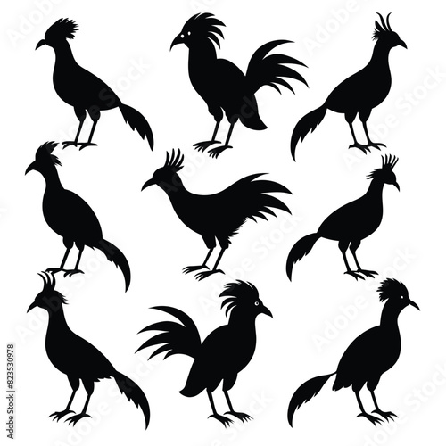 Set of hoatzin birds animal Silhouette Vector on a white background