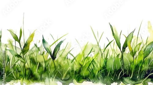 Watercolor painting green grass border isolated on white background