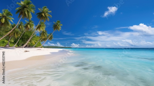 tropical beach with soft white sand  