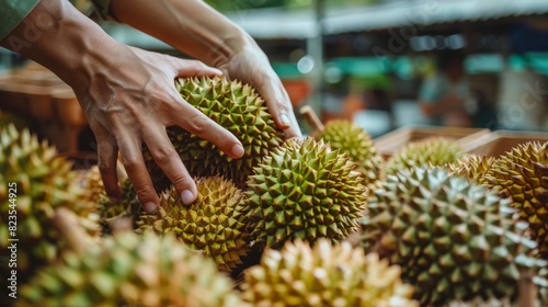22. Close-up of a person's hand selecting a durian fruit from a pile at a market stall, carefully inspecting each one before making a choice. photo