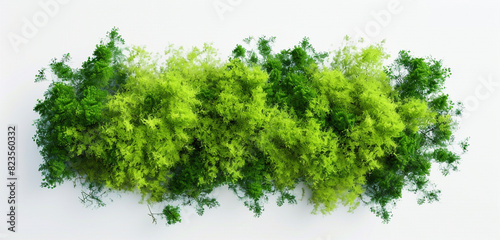 Abstract billboard in soft moss green on a white background, gentle and clear. photo