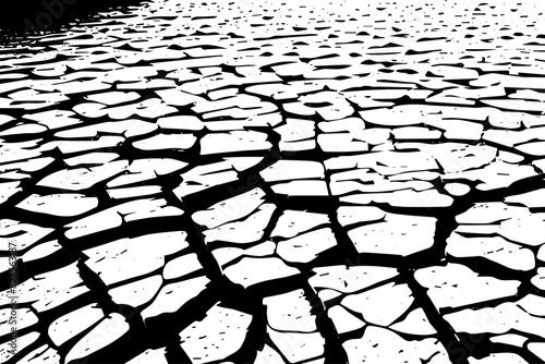 Close-up of dried, cracked earth in a drought-stricken area.