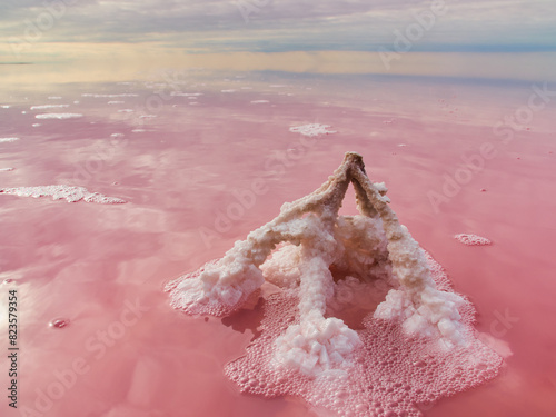 Konstfotografi Pink Salt Lake Incredible Natural Landscape
