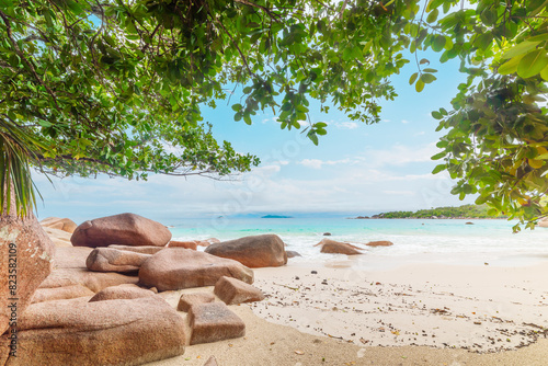 Rocks and plants by the sea in a tropical beach in Seychelles