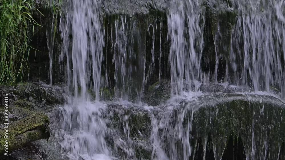 Falling water of waterfall / cascade, nesting place in stream for white-throated dipper / Central European dipper (Cinclus cinclus aquaticus) in spring Falling water of waterfall / cascade, nesting place in stream for white-throated dipper / Central European dipper (Cinclus cinclus aquaticus) in spring