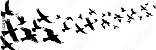Flying Birds Silhouettes On White Background Vector Design. AI generated illustration.