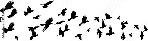 Flying Birds Silhouettes On White Background Vector Design. AI generated illustration.