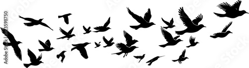 Flying Birds Silhouettes On White Background Vector Design. AI generated illustration. © Fatima