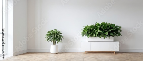minimalist wooden shelf against a plain white wall