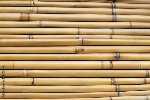 Hintergrund oder Textur mit Bambusrohren