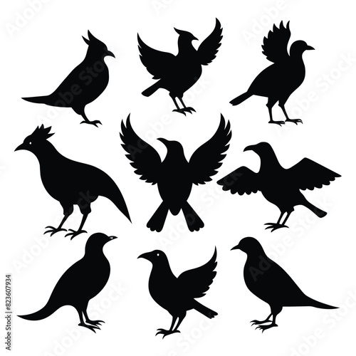 Set of rallidae birds animal Silhouette Vector on a white background photo