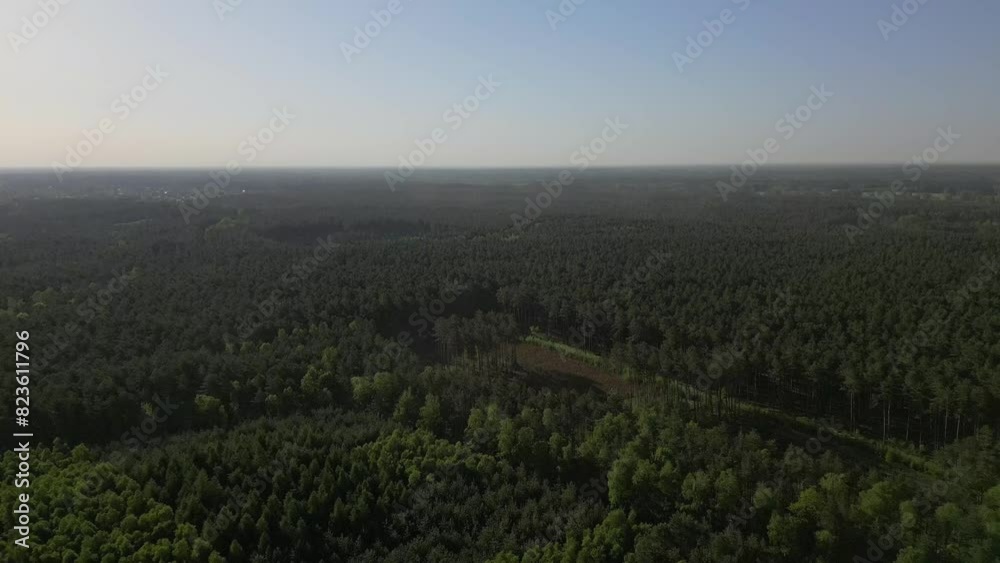 Drone flying above coniferous forest landscape with misty sky at sunset in north-eastern Europe Drone flying above coniferous forest landscape with misty sky at sunset in north-eastern Europe