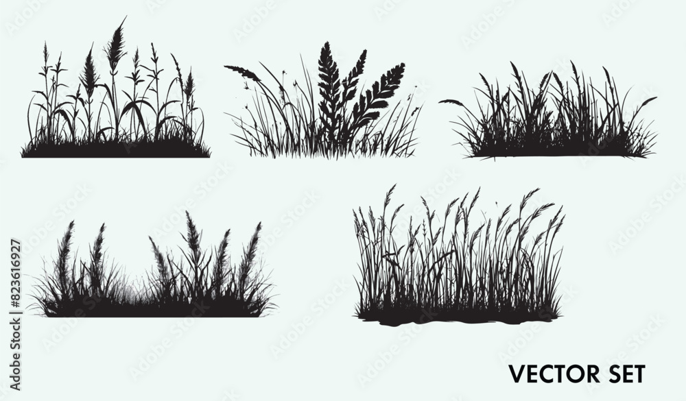 Fototapeta premium Elevate your designs with the fresh, organic beauty of our Herbs Vector Set. Perfect for food branding, recipe books, restaurant marketing and more.
