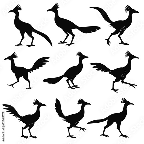 Set of roadrunner animal Silhouette Vector on a white background