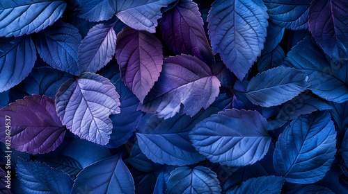 Texture natural leaves in blue and purple tones close-