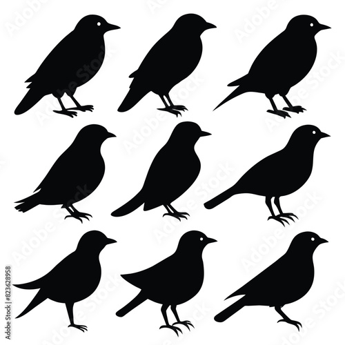 Set of thrush birds animal Silhouette Vector on a white background