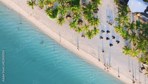 Aerial view of green palm trees, umbrellas on the sandy beach of Indian Ocean at sunset. Summer in Kendwa, Zanzibar island. Tropical landscape with palms, white sand, clear blue sea. Top drone view