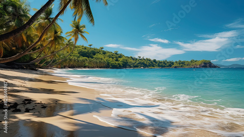Beautiful Beach With Palms and Turquoise Sea In island Landscape Background