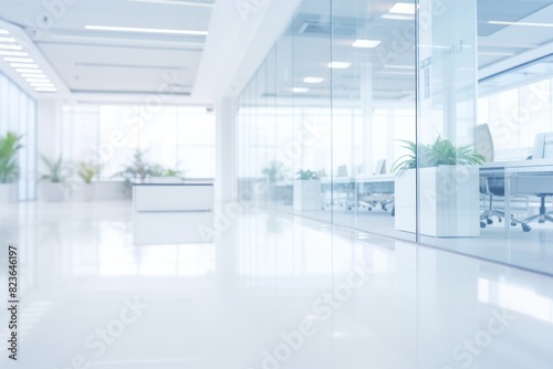 Minimalist White open space office interior  Modern office interior with glass walls and white desks 