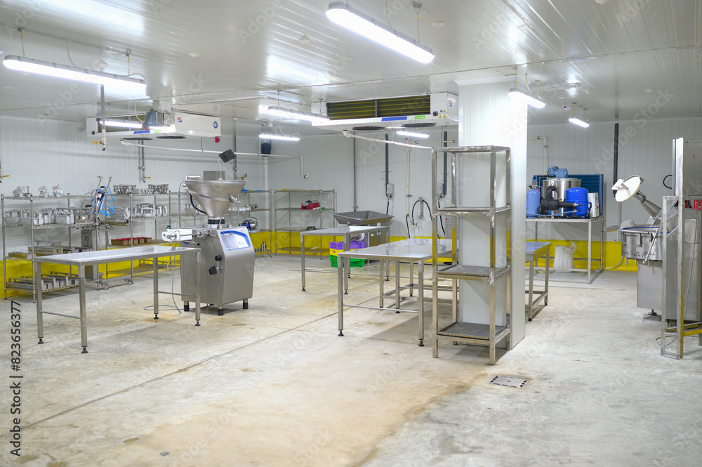 Automated production line in modern food factory. Ravioli production.