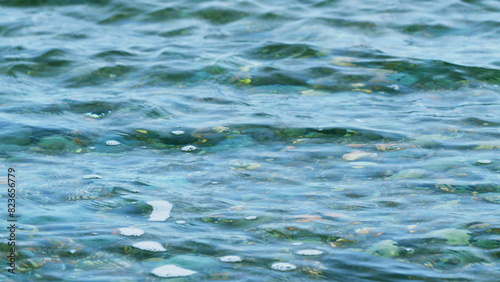 Canvas Print Stone At The Sea