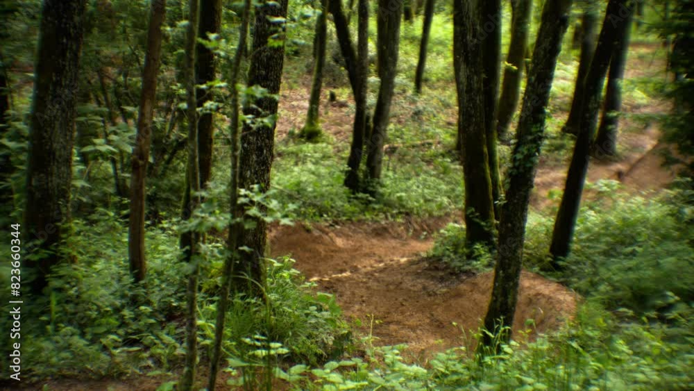 Mountain bike rider rushing thru the woods