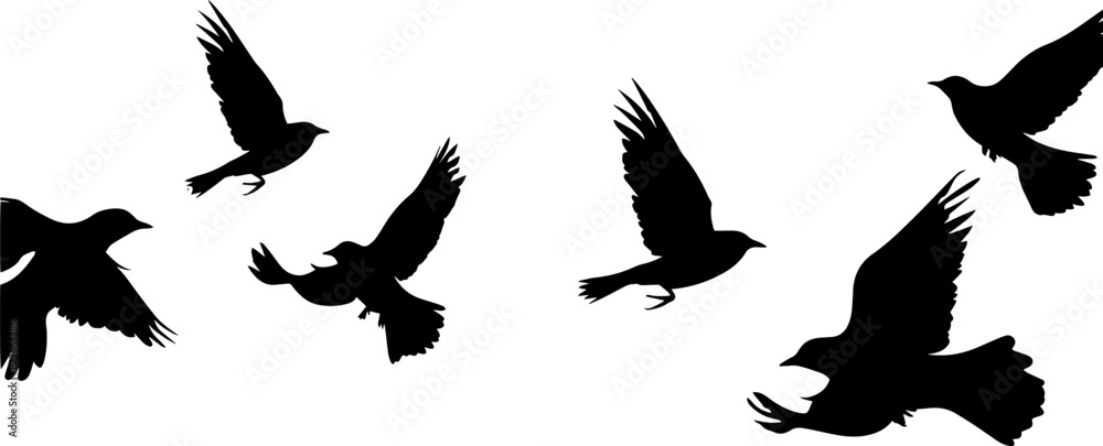Obraz premium Flying Birds Silhouettes On White Background Vector Design. AI generated illustration.