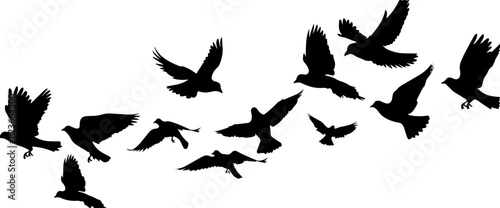 Flying Birds Silhouettes On White Background Vector Design. AI generated illustration.