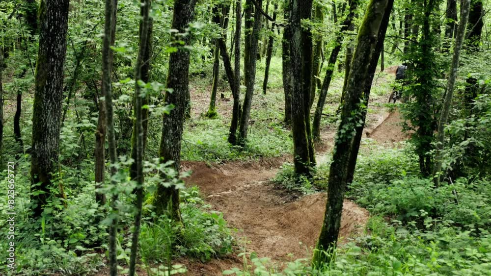 Mountain bike rider rushing thru the woods