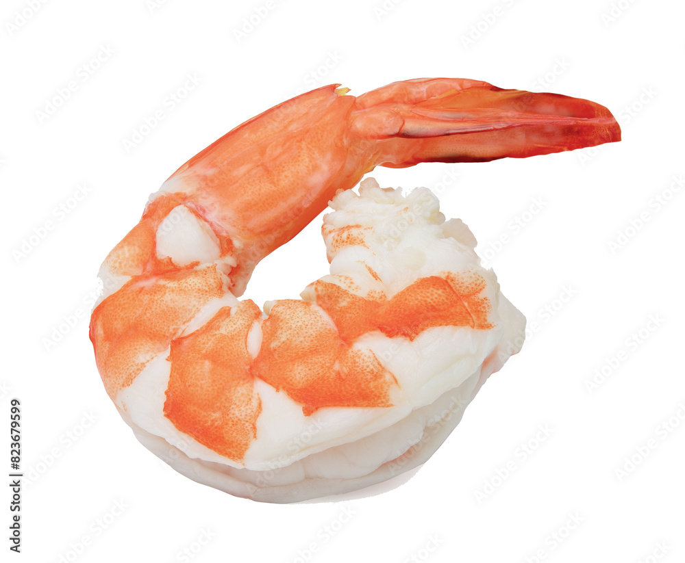 A Large Cooked Shrimp Isolated Over a White Background A Large Cooked Shrimp Isolated Over a White Background