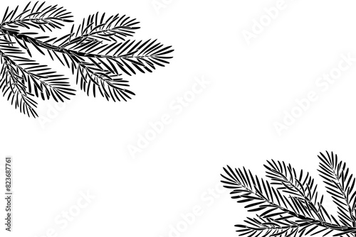 Christmas tree corner silhouette decoration. Fir tree branches. Pine, spruce branch. Hand drawn holiday illustration isolated on white. For New year, winter season headers, cards, party posters.